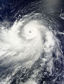 from the diplomat, typhoon