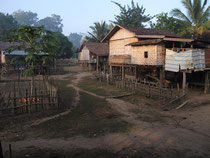 Village with one "Black Langur" as a pet