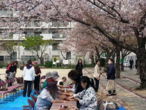 介護家族の会の皆さんと、お花見ハンドケア