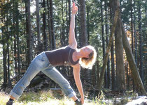 Dreieck - Triangle - Utthita Trikonasana