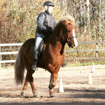 Therese rider kurs på Meya