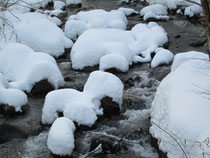 「川の湯」前の川も雪景色