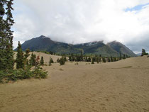 Carcross Desert