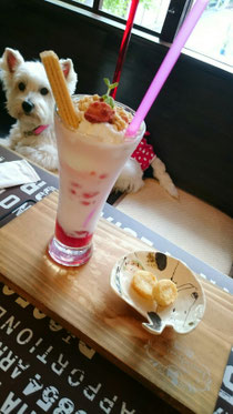 クールメニュー