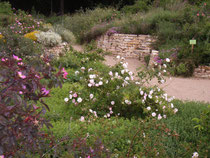 Naturschaugarten Lindenmühle