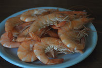 Crevettes