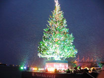 函館クリスマスファンタジー