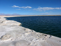 Laguna Cejar - Salar de Atacama