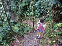 Bosque de Selva - Tarapoto - Peru