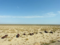 ehemaliger Aralsee - Moynaq - Usbekistan