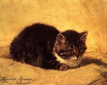 HENRIETTE RONNER KNIP - Gatto