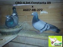 CRO-4.Int.Constanta 2009 x Azurro Linie