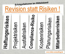 Risiko-Consulting: Revision statt Risiken. Gefahrenabwehr im Mittelstand. Einfache Lösungen für Inhaber, Geschäftsführer & Controller.