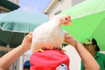 移動動物園・ふれあい動物村
