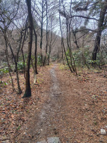 数週間前に筑波山に登りました。