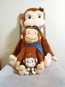 家にいる可愛いおさるのジョージです🐒