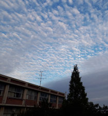 渡り廊下からのうろこ雲!