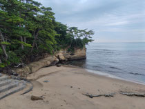 最近行った海です。海藻パラダイスでした。