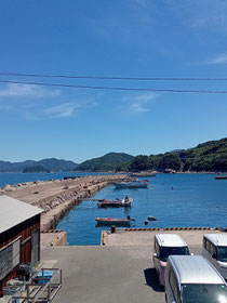 帰省先でみた海🌊 透き通っていてとても綺麗でした!