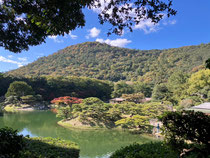 栗林公園の庭園風景、青空と木々がとても綺麗✨️