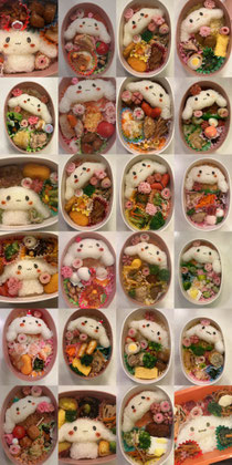 シナモロール弁当コレクションです✨