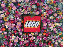 母が東京へ出かけた際に撮影してくれた、レゴで制作されたお花です💐