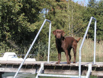 Gessa vom Heinrichsbründl "Siska "am See