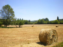 plaine agricole de St Cirq