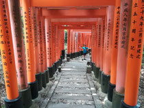 Parc Fushimi Inari-Taisha