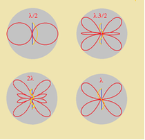 fig.1c