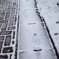 雪の上の自分の足跡をみる。
