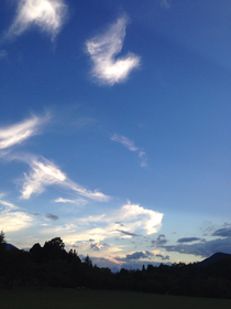 雲のように変幻自在であったなら。