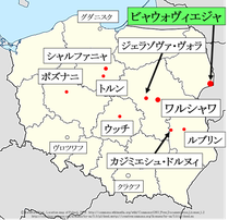 ポーランド、ビャウォヴィエジャ地図