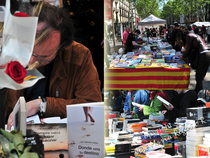 Sant Jordi 2013