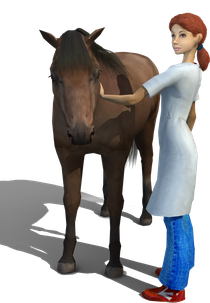 Pet Vet with Horse