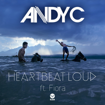 Andy C