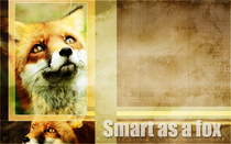Fuchs