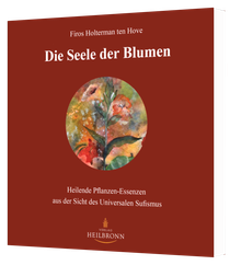 Die Seele der Steine von Firos Holterman ten Hove