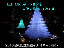 昭和記念公園 イルミネーション