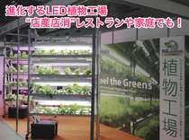 進化するLED植物工場 “店産店消”レストランや家庭でも!