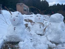 明けましておめでとうございます☺︎