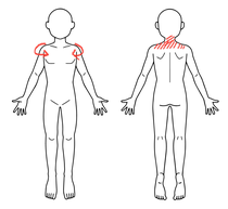K•T様