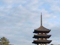 こころに いつも空を　空をこころに　soracocoro奈良
