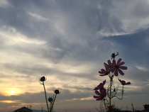 こころに いつも空を　空をこころに　soracocoro奈良
