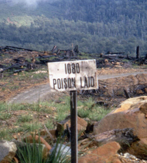 Poison Land via www.m-h-s.org
