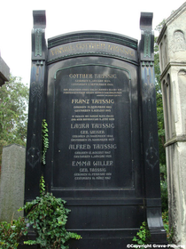 Grave of Gottlieb Taussig and his family in the old Jewish part of the Vienna Central Cemetery