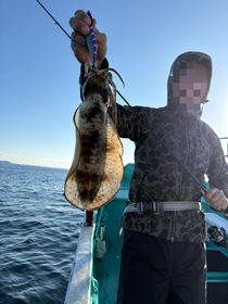 ☆光栄丸☆ 三重県 釣り船「光栄丸」 - 光栄丸 公式ホームページ