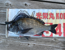 ☆光栄丸☆ 釣り船 光栄丸