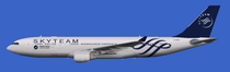 China Southern A330-200 skyteam logojet