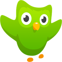 duolingo android review recensione